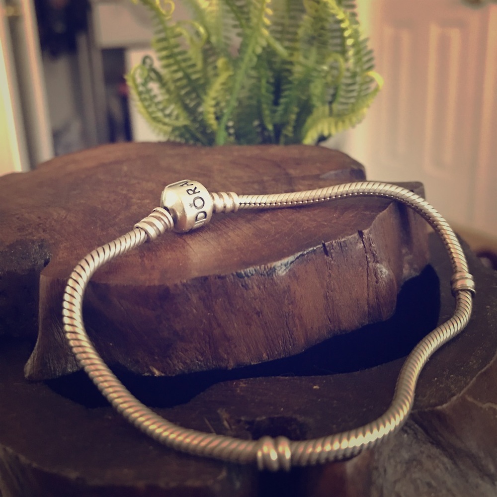 Pandora Bracelet